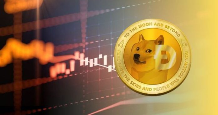 rise of dogecoin